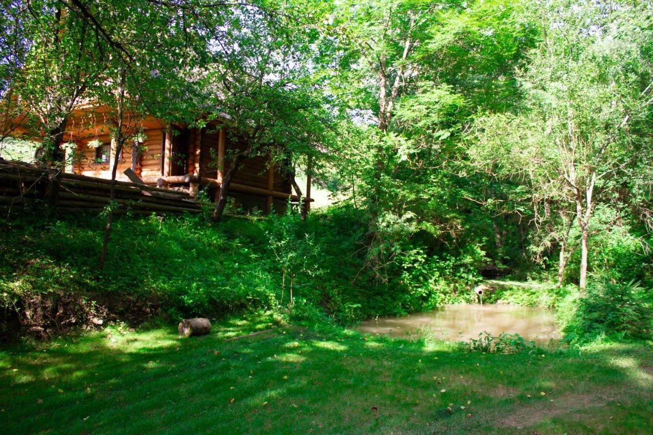 Villa Тихий Куточок Izky Exterior foto