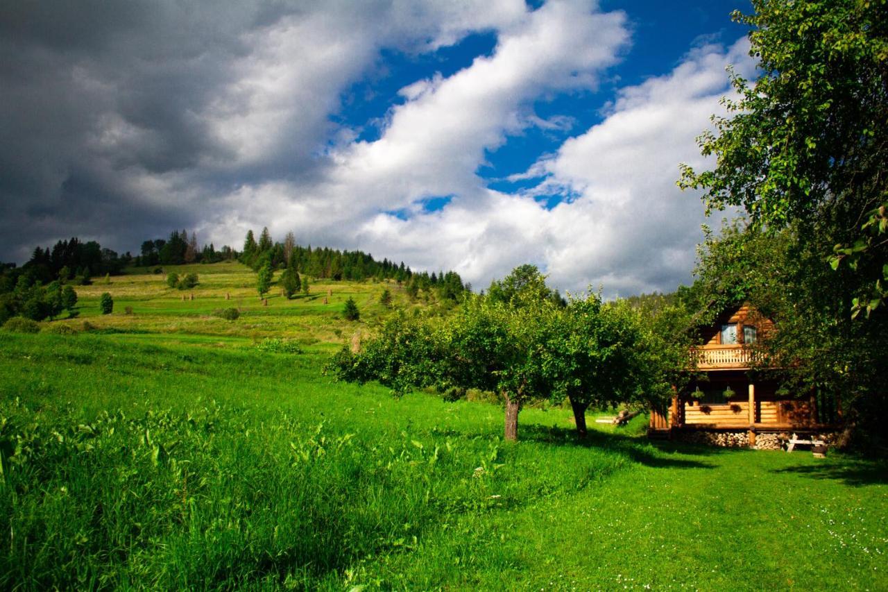 Villa Тихий Куточок Izky Exterior foto
