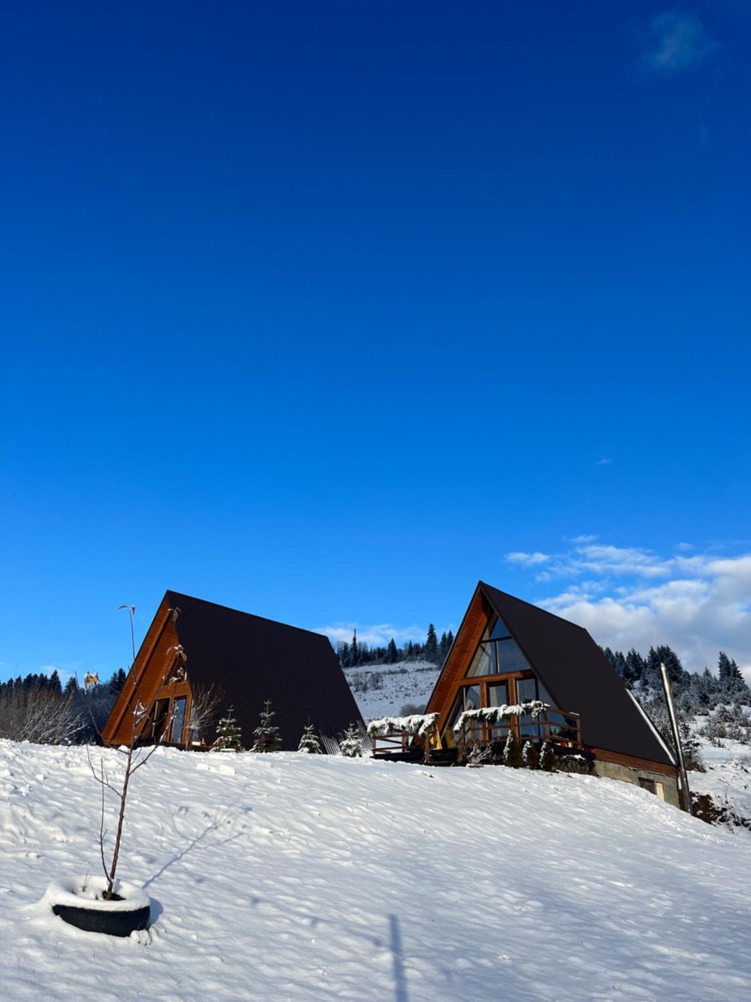 Villa Тихий Куточок Izky Exterior foto